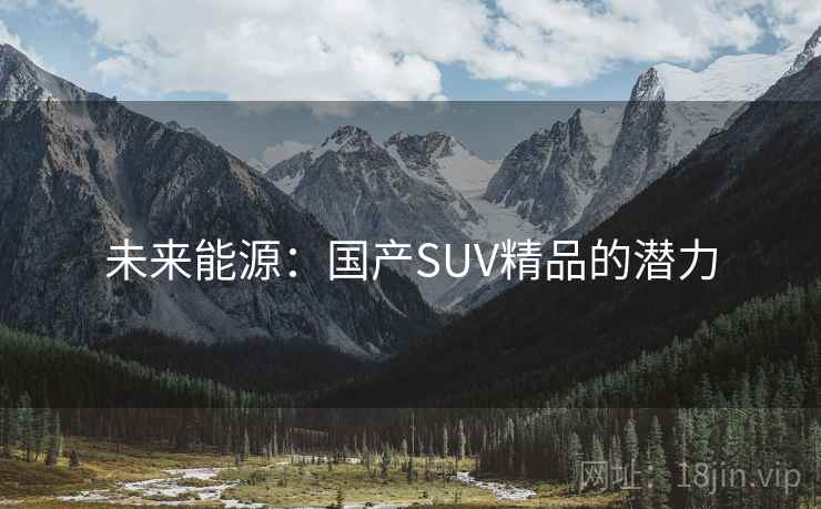 未来能源:国产SUV精品的潜力 未来能源:国产SUV精品的潜力
